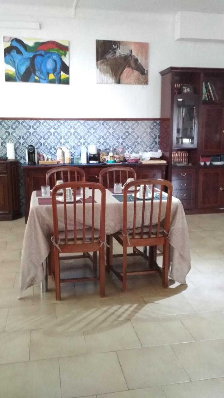 Atjuditehome Alpiarça Kültér fotó